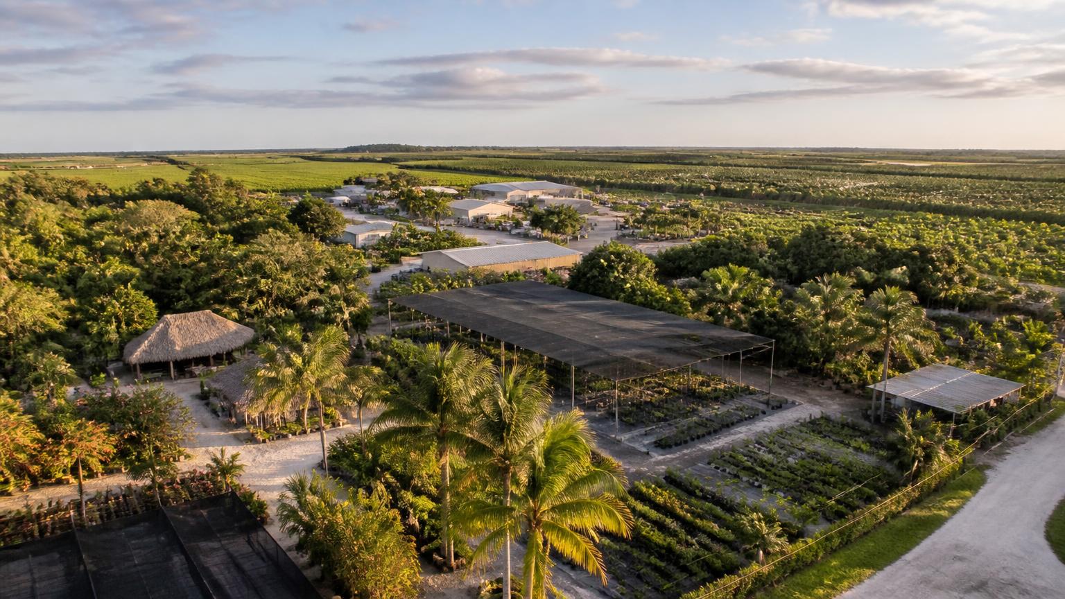Nursery and agricultural land in the Redland area of Miami-Dade County