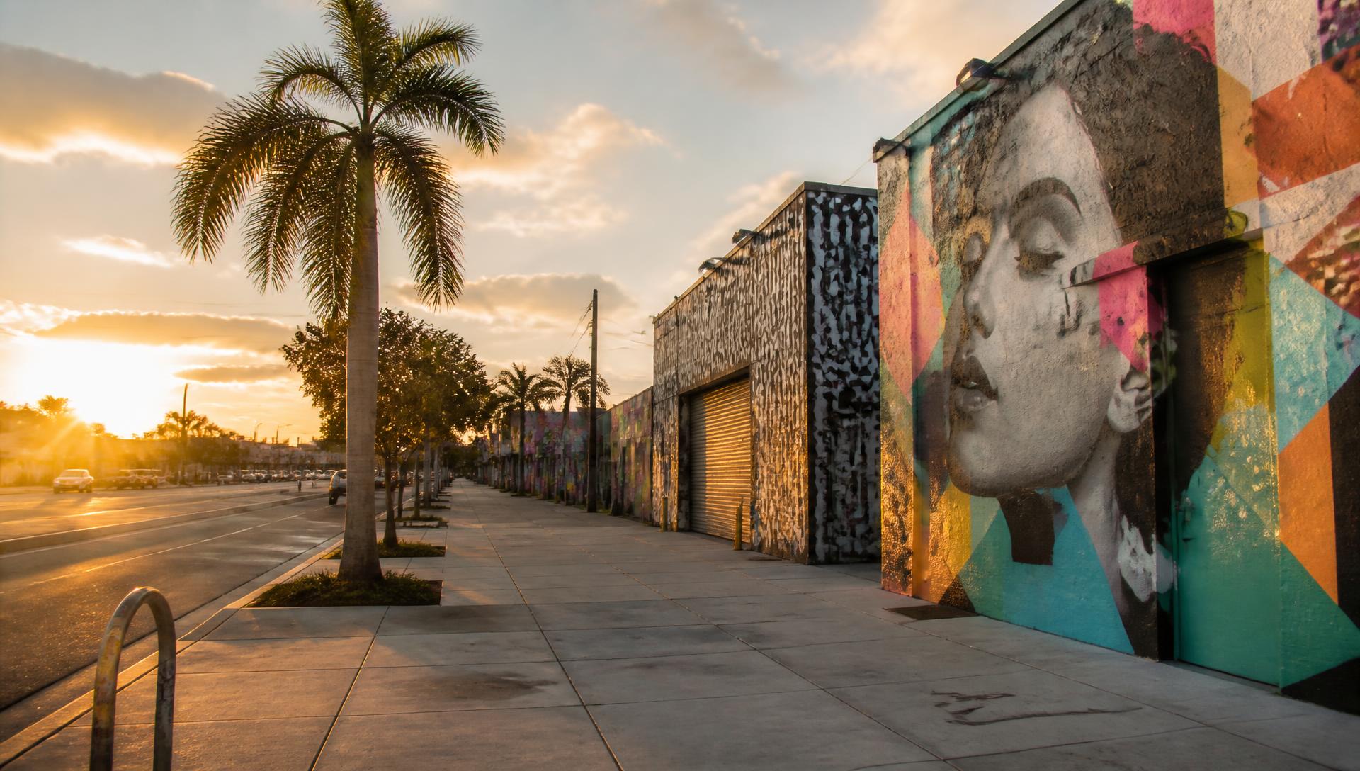 Wynwood street with colorful murals and palm trees in Miami